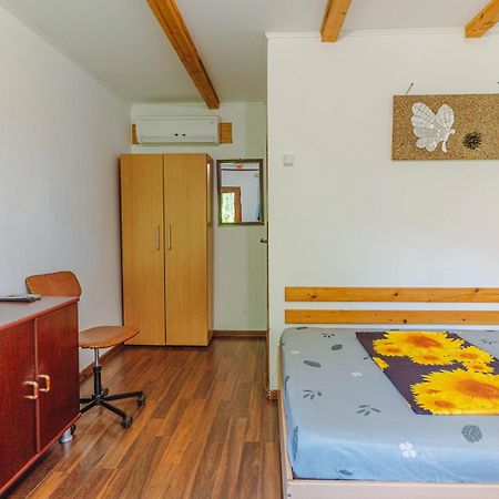 Hotel Casa Dexter Vama Veche Esterno foto
