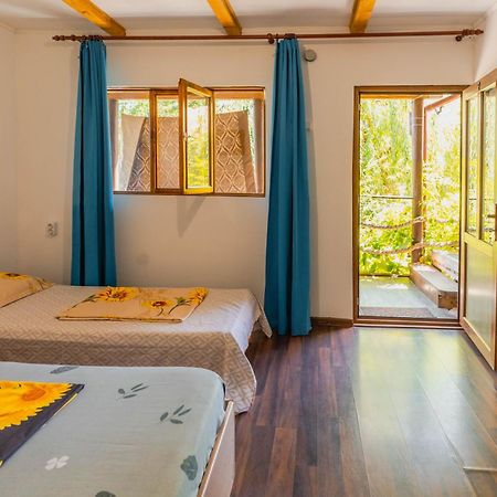 Hotel Casa Dexter Vama Veche Esterno foto