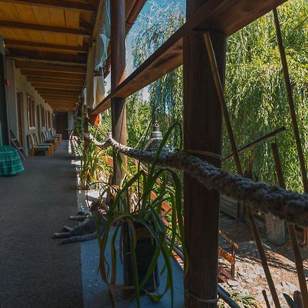 Hotel Casa Dexter Vama Veche Esterno foto